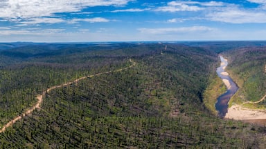 Wide aerial panorama of Snowy River National Park on a summer day