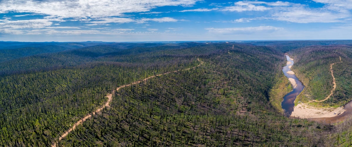 A river winding through a forested valley with a dirt path.