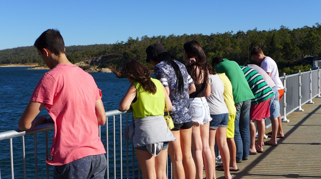 There's always something exciting about looking into water isn't there, especially water you can't get down to and where you can see big Julgies below.