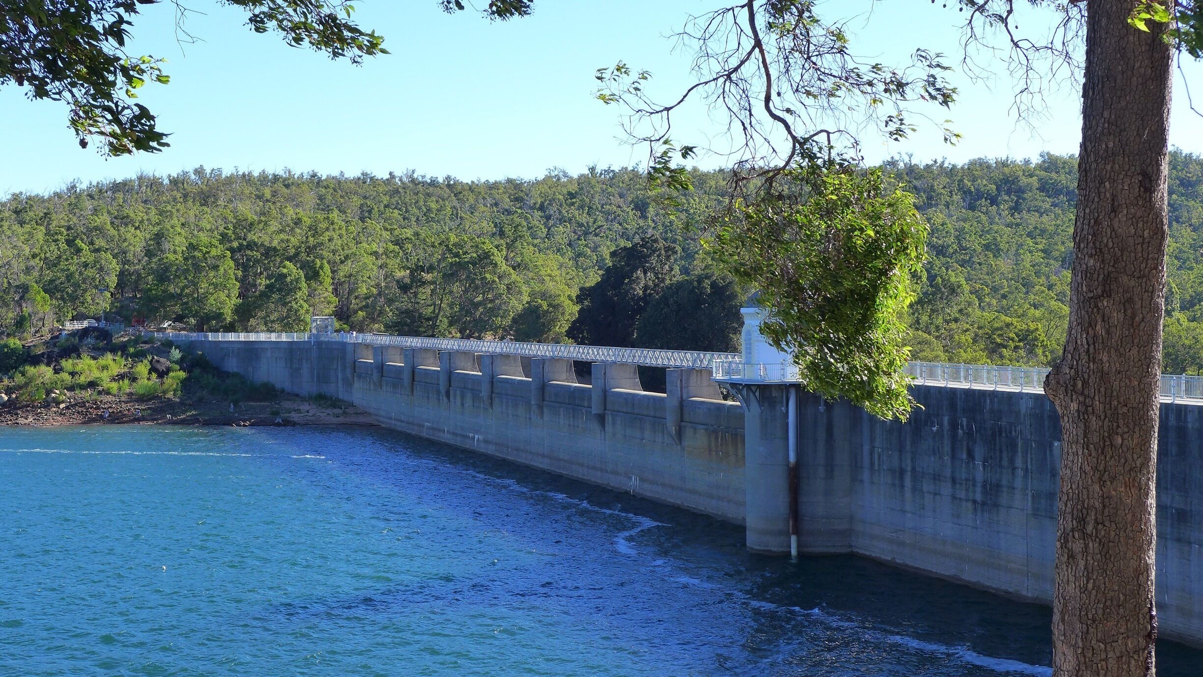 A concrete dam over a river with a forested hillside in the background.