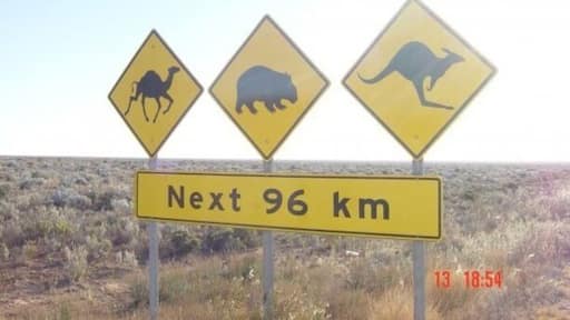 It's flat. It's long. And you might see some strange animals. Iconic Australia.