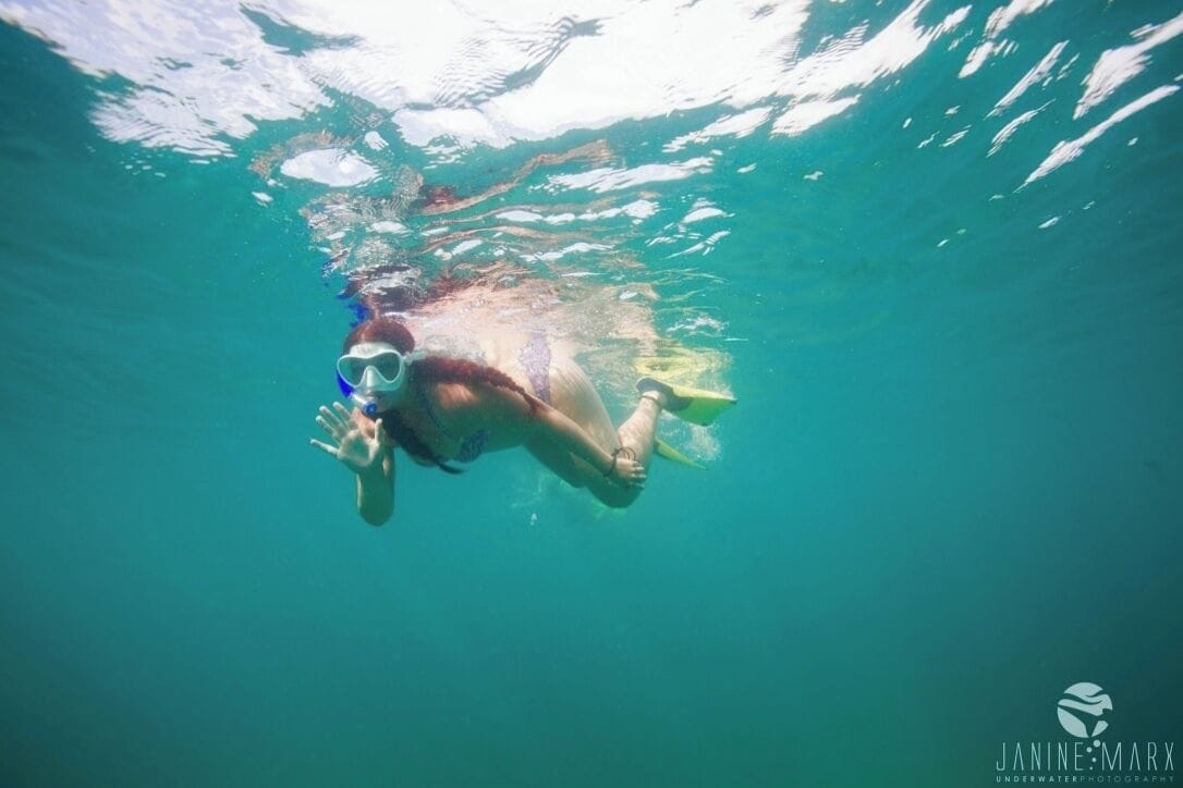snorkelling with the whale sharks. worth every penny. do it. 