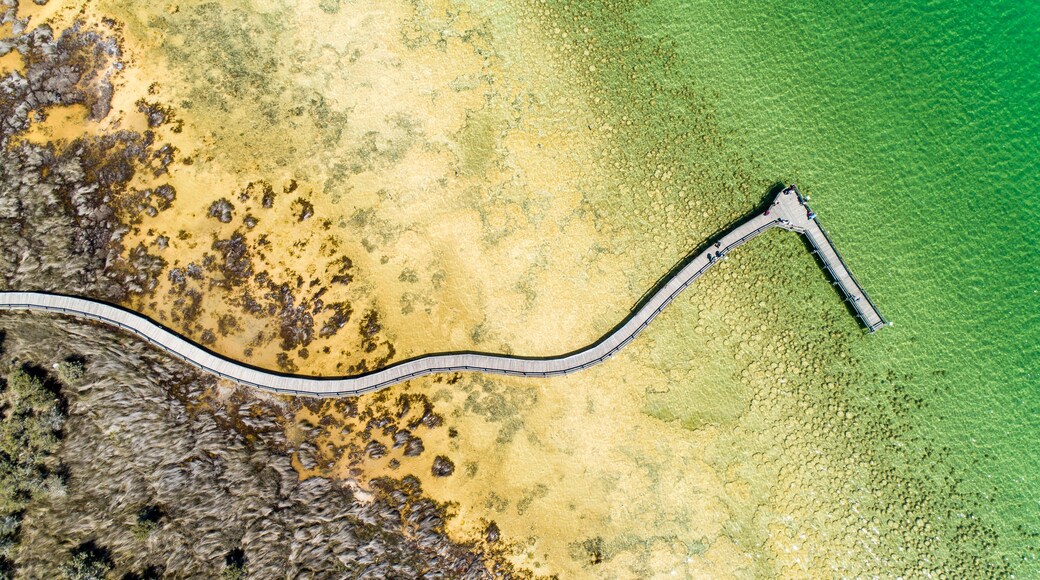 An aerial view of a winding bridge over a body of water with a rocky shoreline.