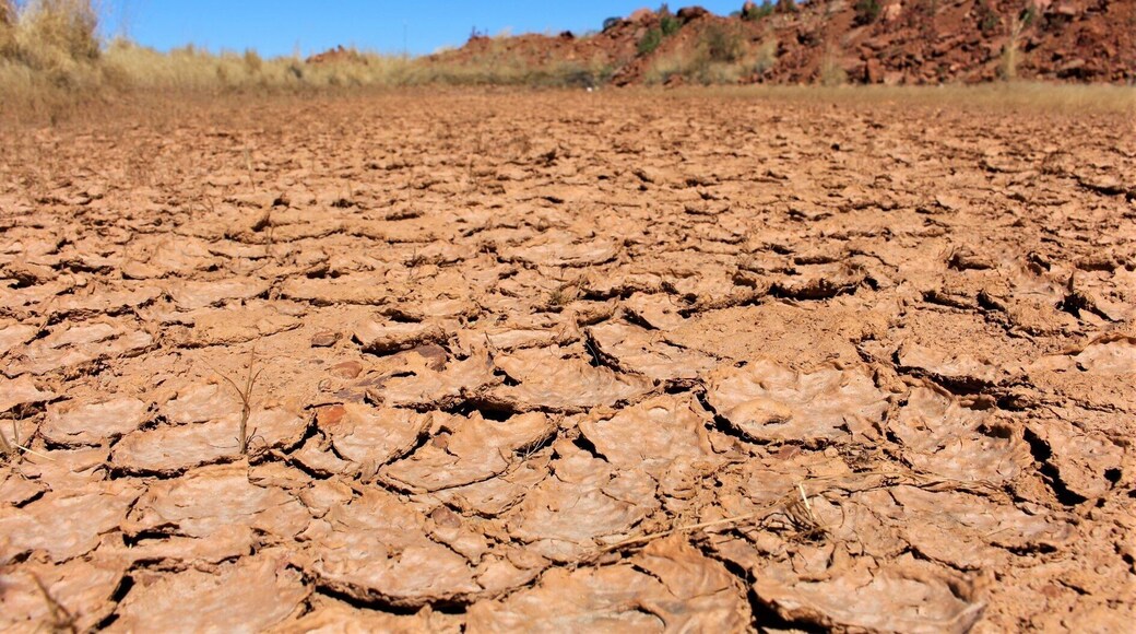 Dry desert just next to beautiful mine ⛏
#desert #dry #australia #roadtrip