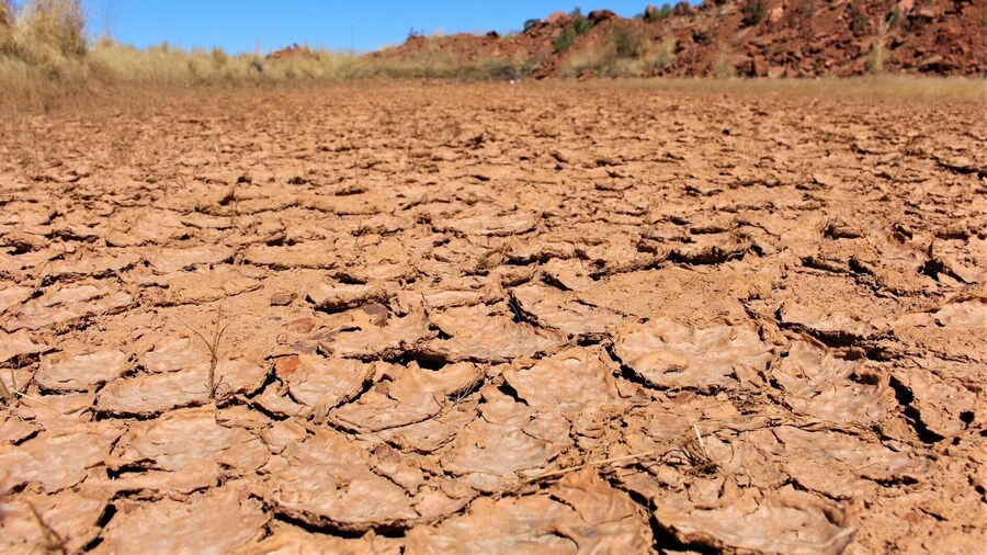 Dry desert just next to beautiful mine ⛏
#desert #dry #australia #roadtrip