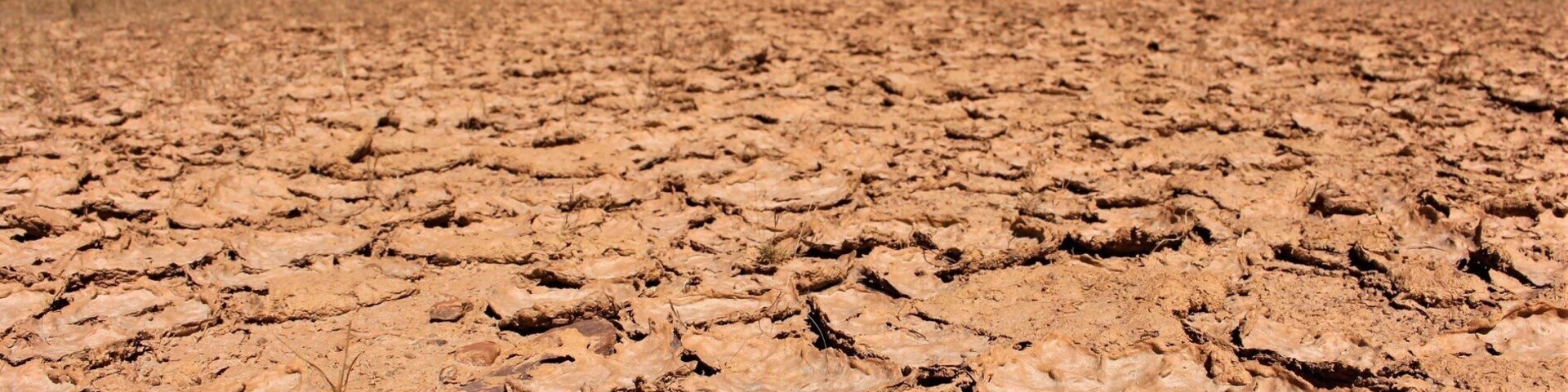 Dry desert just next to beautiful mine ⛏
#desert #dry #australia #roadtrip