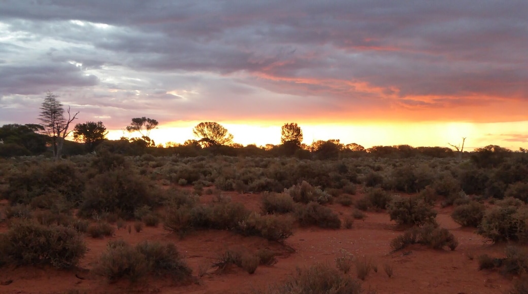 Taking photos on the way to a camping spot. North east of Kalgoorlie, WA