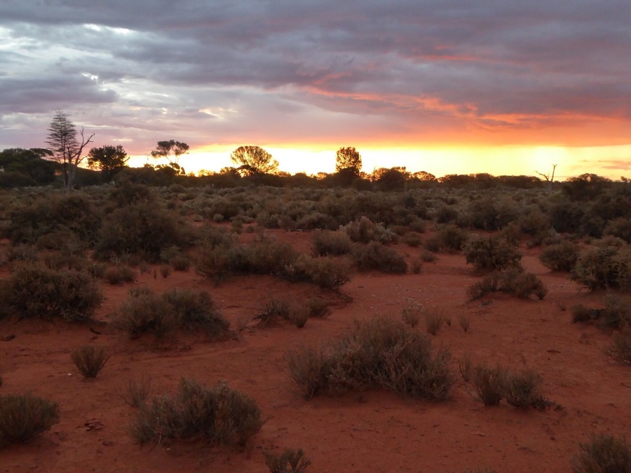 Taking photos on the way to a camping spot. North east of Kalgoorlie, WA