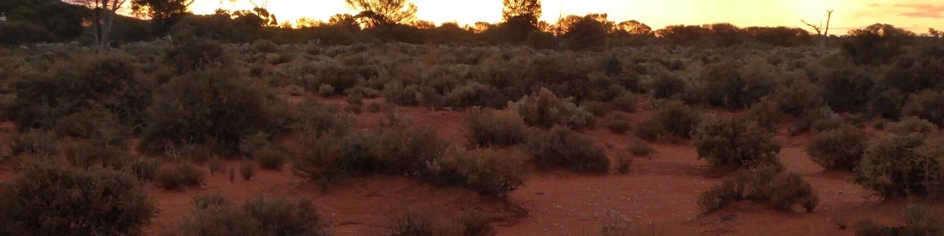 Taking photos on the way to a camping spot. North east of Kalgoorlie, WA