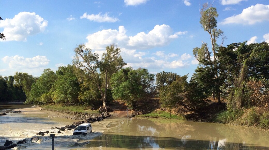 Cahills Crossing over the East Alligator River in Kakadu #NationalPark.
A car drivers #waterlust, but don't stop because of the saltwater crocs!
I was fascinated and watched many cars here, both 2WD and 4WD, when on my recent #roadtrip in the Top End of the #NorthernTerritory, Australia.
#UnescoWorldHeritageSite
#Kakadu
Loved being mesmerised by the water reflections!
My trusty #iPhoneonly again!
#BestOf5