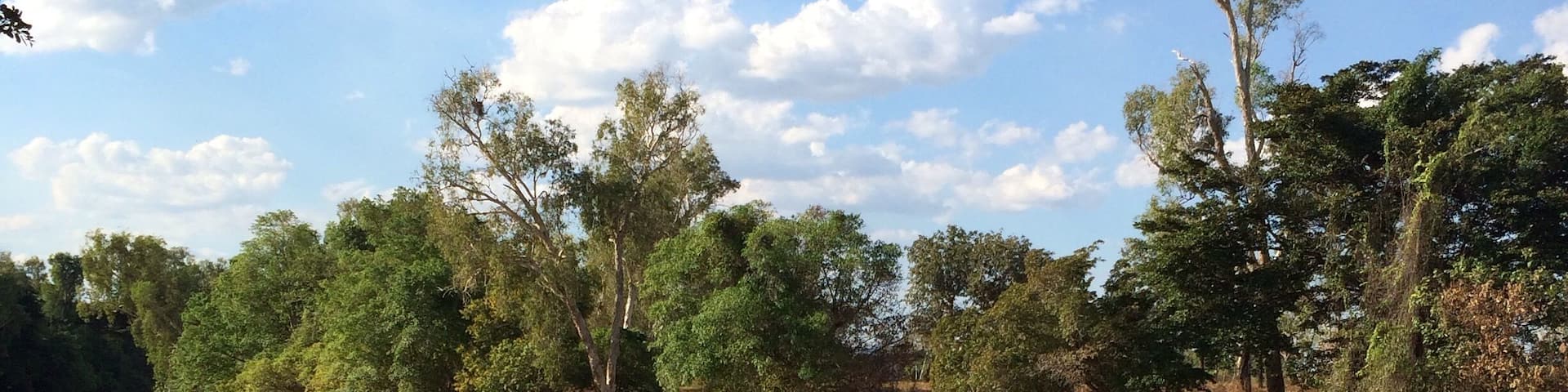 Cahills Crossing over the East Alligator River in Kakadu #NationalPark.
A car drivers #waterlust, but don't stop because of the saltwater crocs!
I was fascinated and watched many cars here, both 2WD and 4WD, when on my recent #roadtrip in the Top End of the #NorthernTerritory, Australia.
#UnescoWorldHeritageSite
#Kakadu
Loved being mesmerised by the water reflections!
My trusty #iPhoneonly again!
#BestOf5