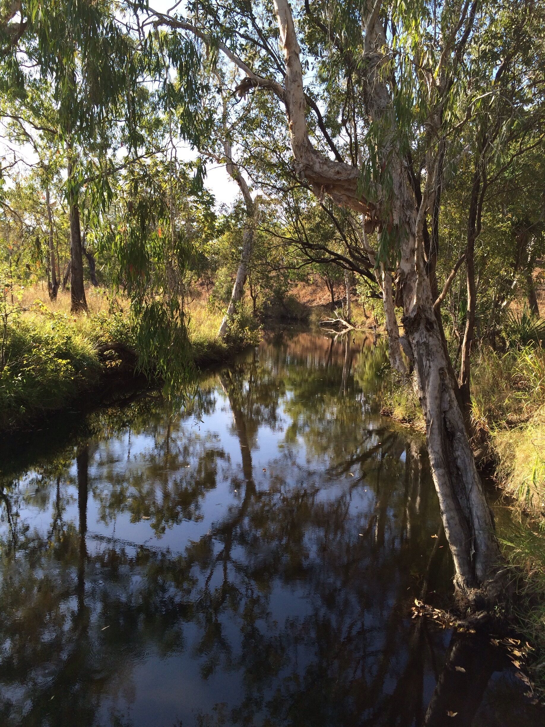 A calm river surrounded by trees and greenery.