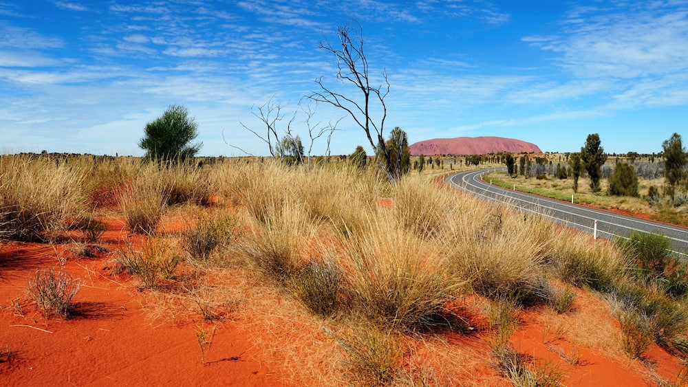 A winding road through a red desert landscape with sparse vegetation and a prominent red rock formation in the distance.