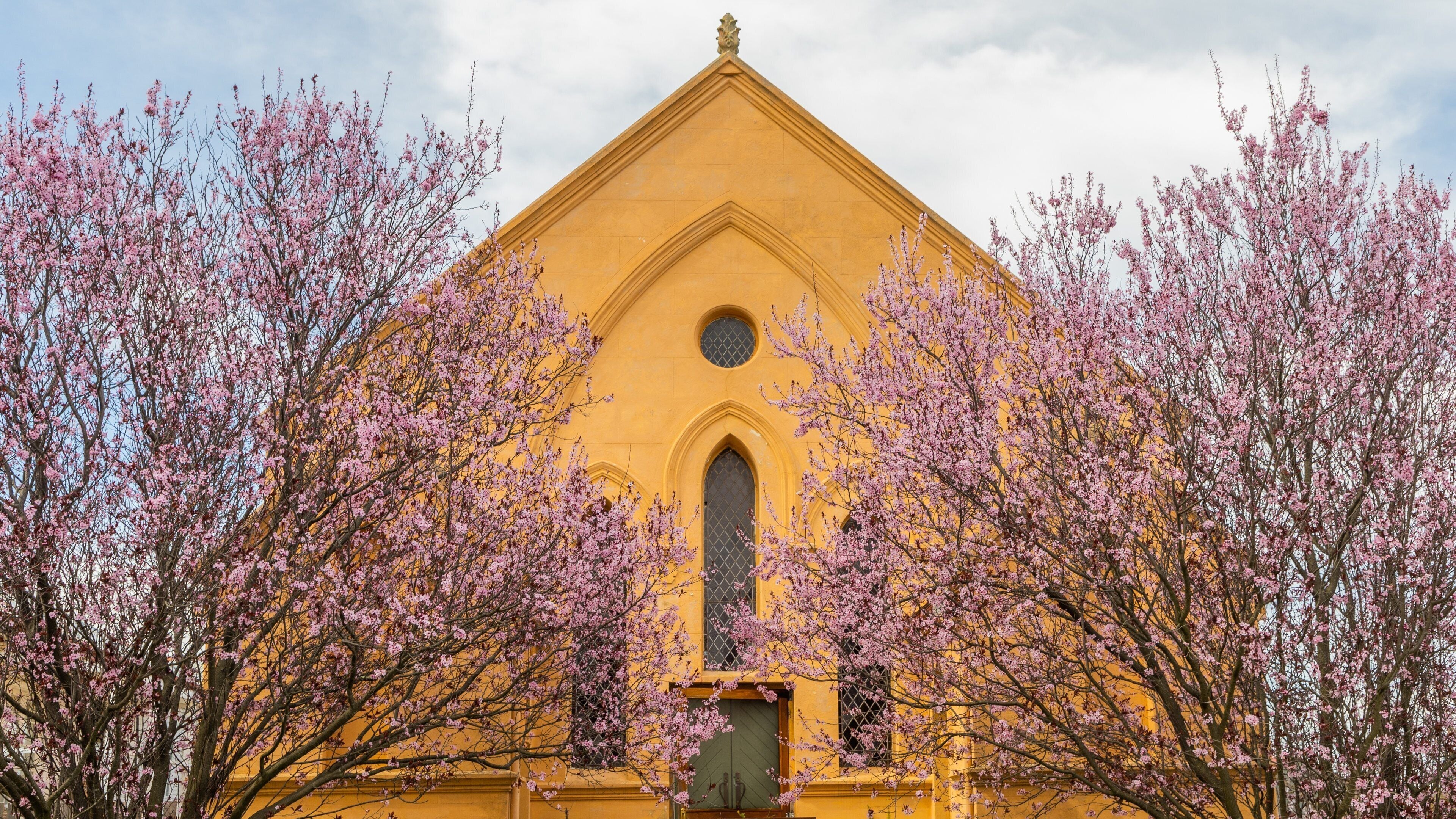 Uralla which includes wildflowers and a church or cathedral