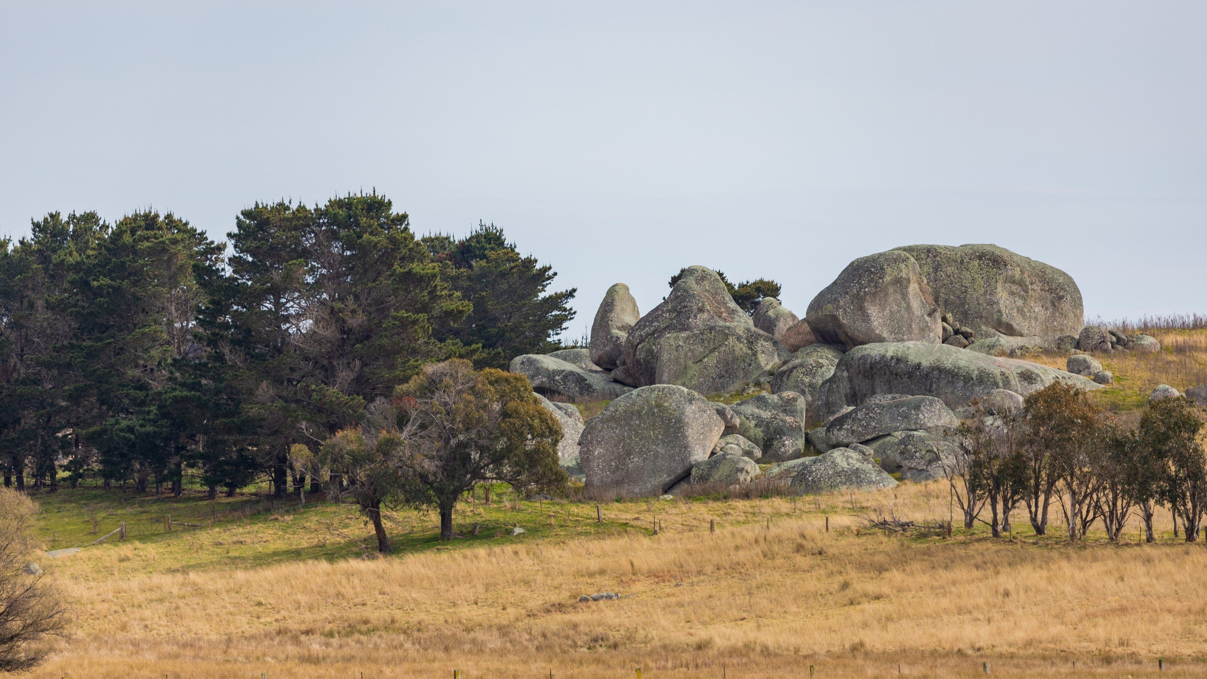 Uralla featuring tranquil scenes