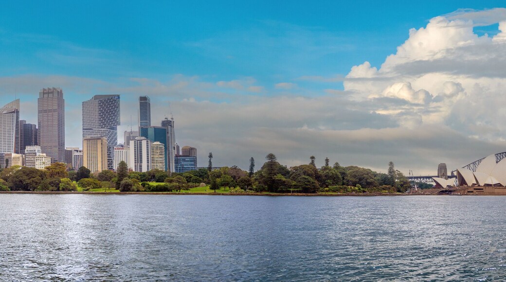 Sydney skyline panorama from the Royal Botanic Garden water front, New South Wales, Australia