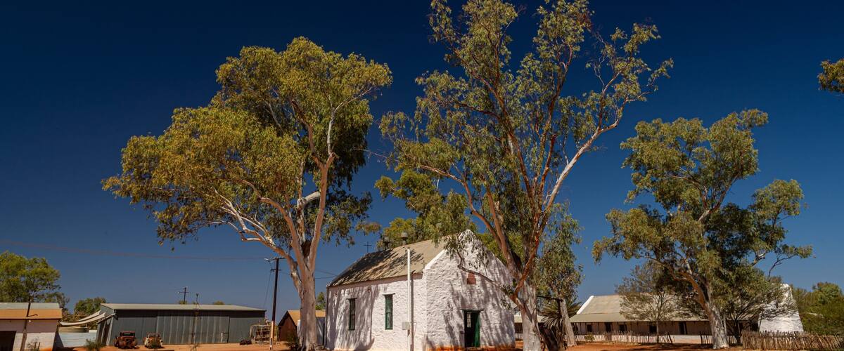 A white church surrounded by eucalyptus trees in a rural setting.