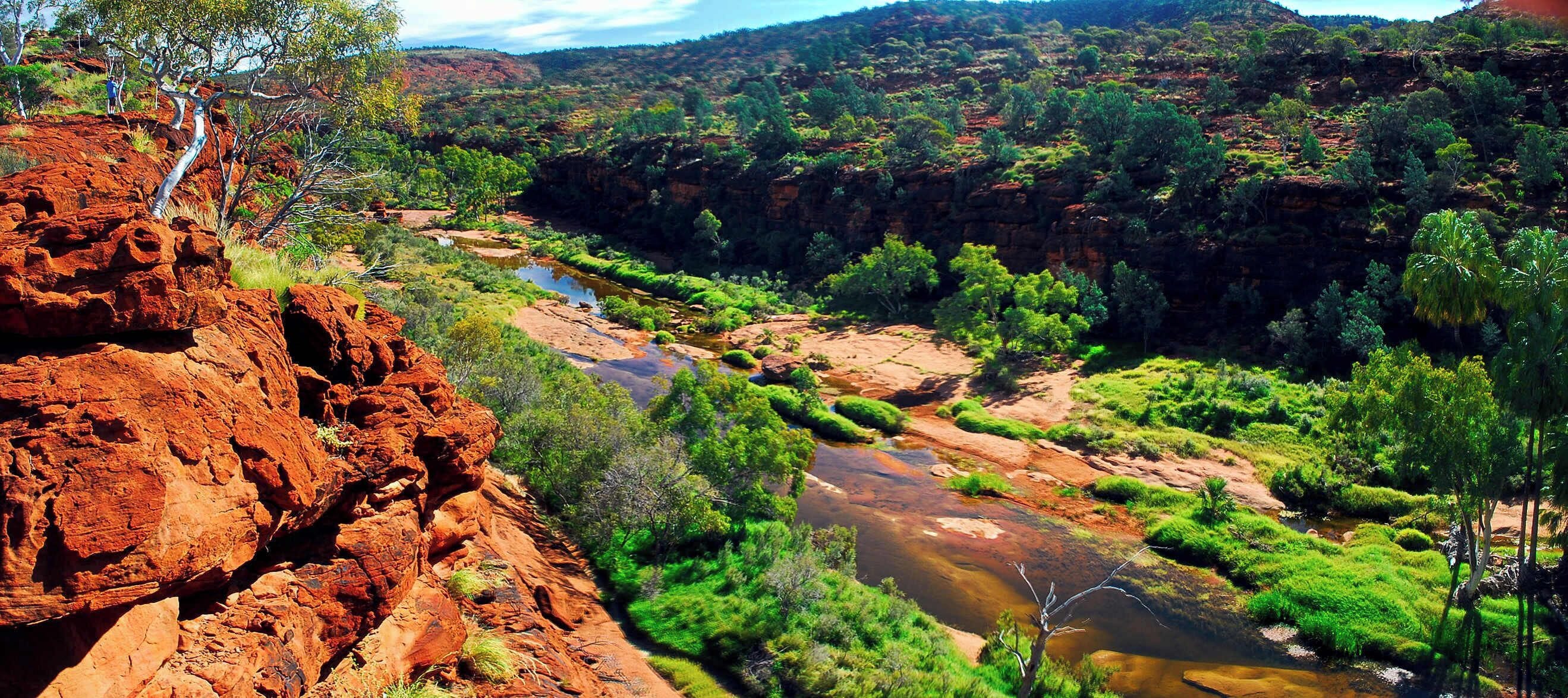 Palm Valley is part of the Finke Gorge National Park, an east-west running valley in the Krichauff Range 123 km southwest of Alice Springs in the Northern Territory, Australia. This is the only place in Central Australia where Red Cabbage Palms survive. The other notable feature is the redness of the rocks, something you get a lot of in outback Australia.  You need a 4WD to get there but its a special place.