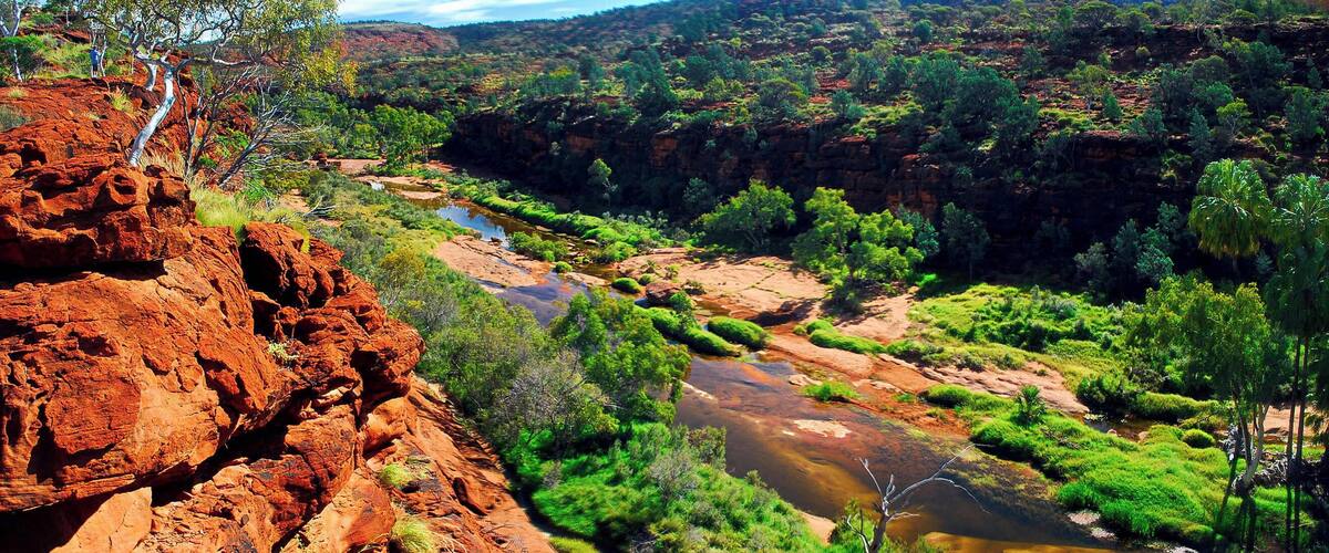 Palm Valley is part of the Finke Gorge National Park, an east-west running valley in the Krichauff Range 123 km southwest of Alice Springs in the Northern Territory, Australia. This is the only place in Central Australia where Red Cabbage Palms survive. The other notable feature is the redness of the rocks, something you get a lot of in outback Australia. You need a 4WD to get there but its a special place.