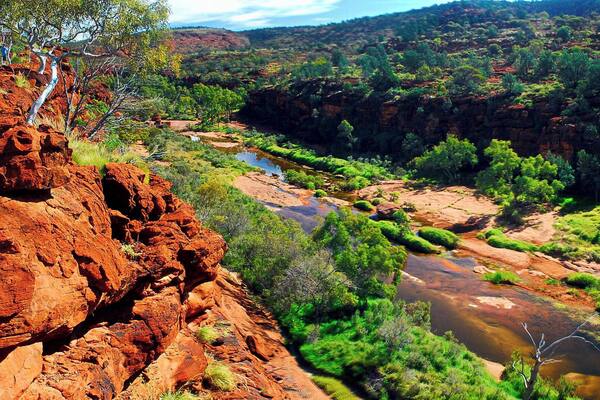 Palm Valley is part of the Finke Gorge National Park, an east-west running valley in the Krichauff Range 123 km southwest of Alice Springs in the Northern Territory, Australia. This is the only place in Central Australia where Red Cabbage Palms survive. The other notable feature is the redness of the rocks, something you get a lot of in outback Australia. You need a 4WD to get there but its a special place.