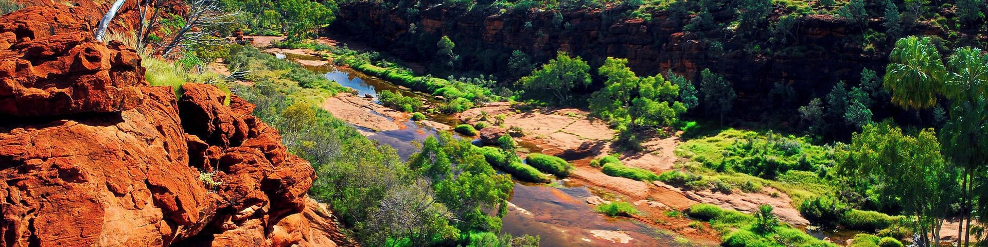 Palm Valley is part of the Finke Gorge National Park, an east-west running valley in the Krichauff Range 123 km southwest of Alice Springs in the Northern Territory, Australia. This is the only place in Central Australia where Red Cabbage Palms survive. The other notable feature is the redness of the rocks, something you get a lot of in outback Australia. You need a 4WD to get there but its a special place.