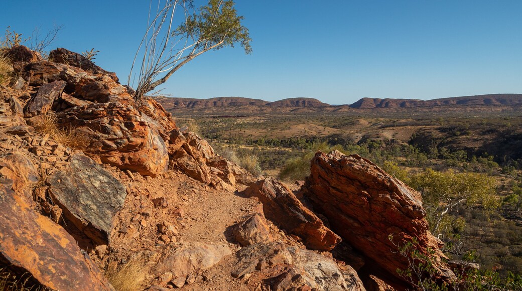 St Maarten and St Martin featuring desert views