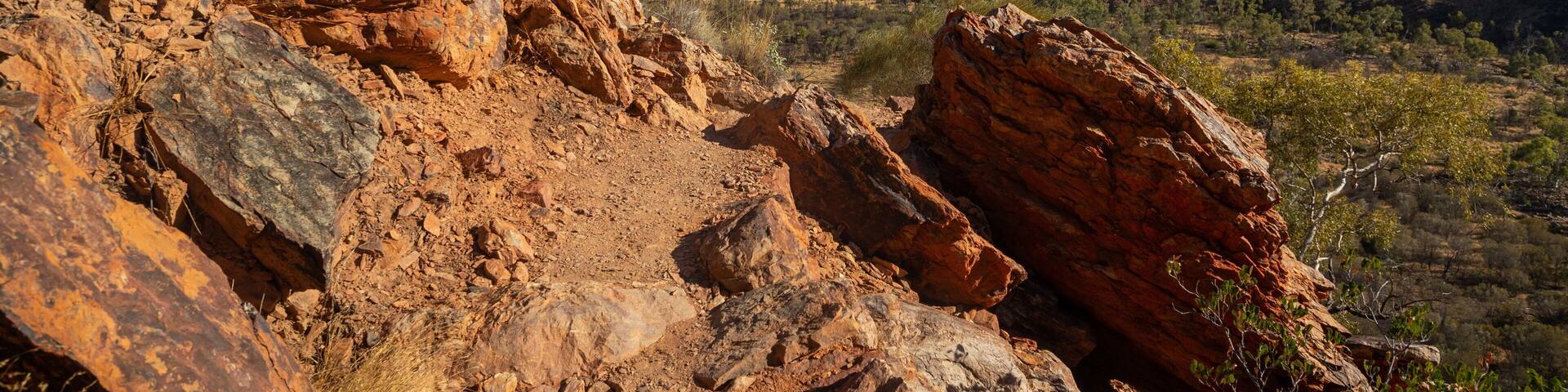St Maarten and St Martin featuring desert views