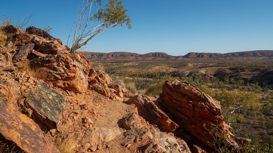 St Maarten and St Martin featuring desert views