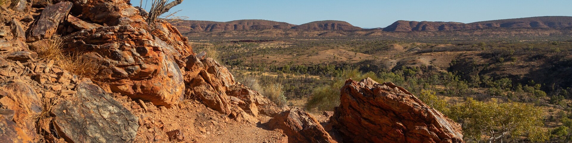 St Maarten and St Martin featuring desert views