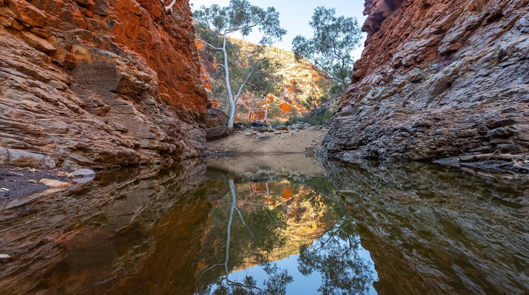 St Maarten and St Martin featuring a gorge or canyon and a river or creek