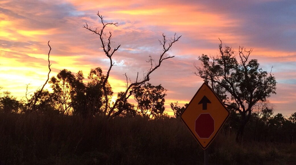 On our way from Litchfield National Park to Berry Springs, we stopped to watch the sunset over the #NorthernTerritory.
We caught most of the sunsets on our #roadtrip. This one was last Friday - #offtheBeatenTrack!
#IloveaSunburntCountry.
#iPhoneonly
It really was a #goldenhour!