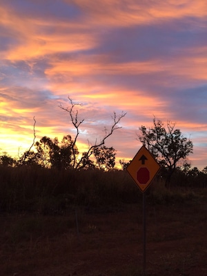 On our way from Litchfield National Park to Berry Springs, we stopped to watch the sunset over the #NorthernTerritory.  
We caught most of the sunsets on our #roadtrip.  This one was last Friday - #offtheBeatenTrack!
#IloveaSunburntCountry. 
#iPhoneonly
It really was a #goldenhour!