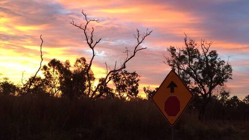On our way from Litchfield National Park to Berry Springs, we stopped to watch the sunset over the #NorthernTerritory.
We caught most of the sunsets on our #roadtrip. This one was last Friday - #offtheBeatenTrack!
#IloveaSunburntCountry.
#iPhoneonly
It really was a #goldenhour!