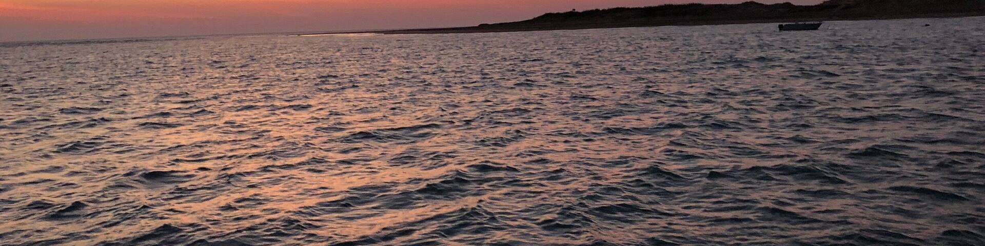 A fast boat trip operated by ‘Sea Darwin’ from Darwin to Bare Sand Island to view turtles coming ashore to lay their eggs.
The island is a research centre for turtles. Volunteers are always sought after to participate in the research by Austurtle inc.
Well worth the cost of the trip which includes dinner and drinks.