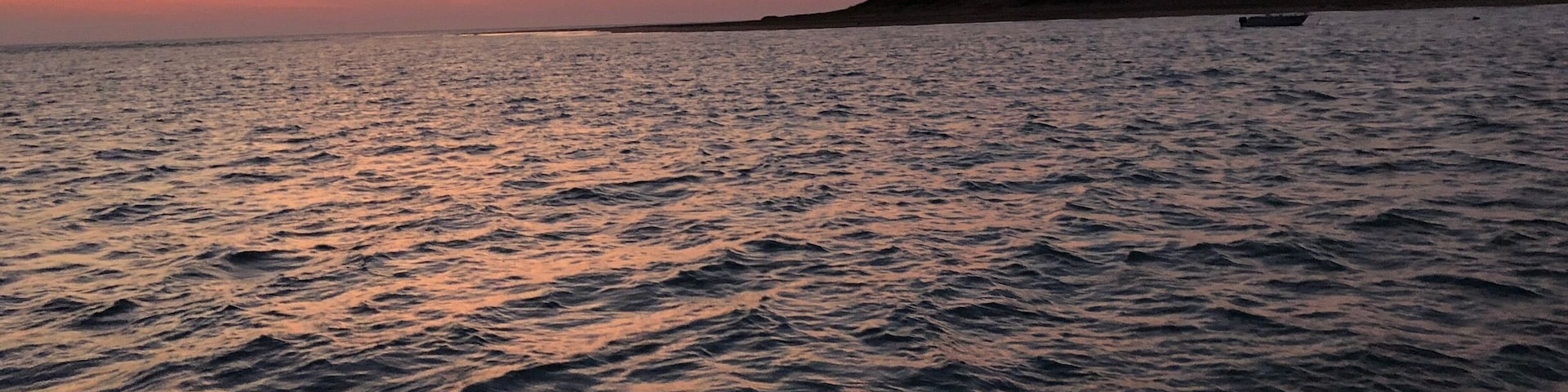 A fast boat trip operated by ‘Sea Darwin’ from Darwin to Bare Sand Island to view turtles coming ashore to lay their eggs.
The island is a research centre for turtles. Volunteers are always sought after to participate in the research by Austurtle inc.
Well worth the cost of the trip which includes dinner and drinks.
