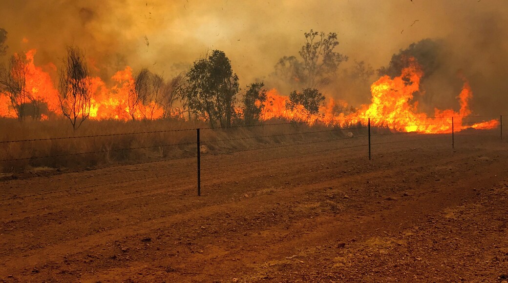 Late dry season fires in the Savanna
