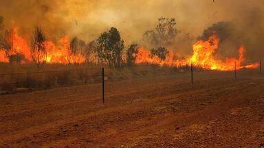 Late dry season fires in the Savanna