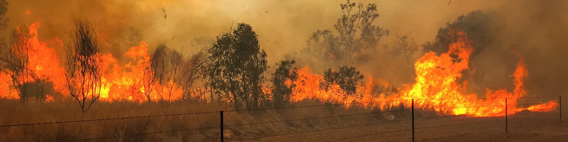Late dry season fires in the Savanna