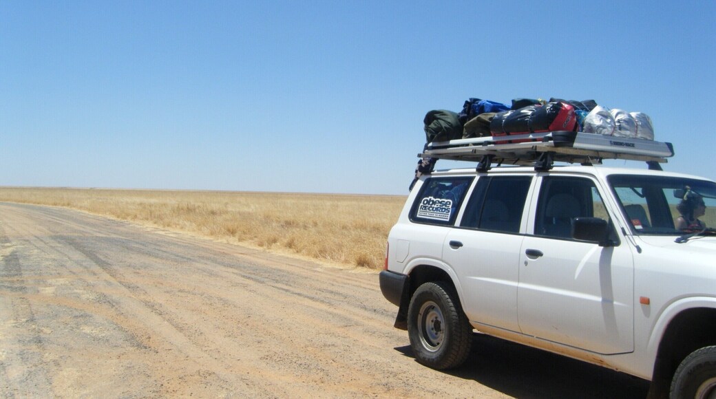 It doesnt get much flatter than the Tablelands Hwy 11 in Barkley Tablelands!
I was astounded by just how arid and flat it was, I truly love landscapes like this - nothing makes you feel more like you have escaped reality than staring off into the distance on an endless plain.
A highlight was a small dam or waterhole on the side of the hwy where I saw my first wild Brolgas, a huge and impressive Australian bird.
There are lots of road trains up here as you get into cattle country so drive to the conditions and always slow down and give them plenty of space on this just a bit bigger than single lane hwy!