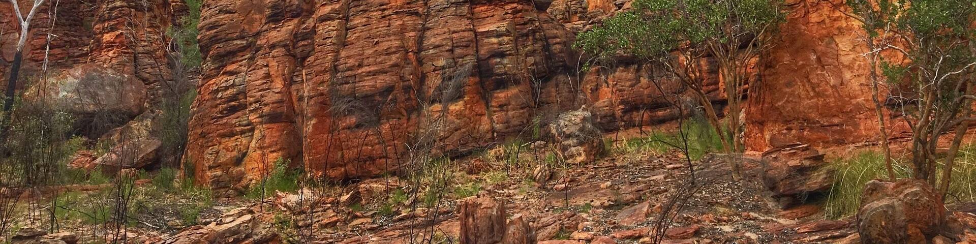 The southern lost city is a true hidden gem. Not many visitors make their way to these mysterious rock formations nestled inside Limmen NP in Australia’s Northern Territory. After driving down the dirt road, the Lost City Campsite sits almost right up against the incredible formations.
#hiddengems #australia #northernterritory #lostcity #rockformations #limmen #hiking #explore #ontheroad