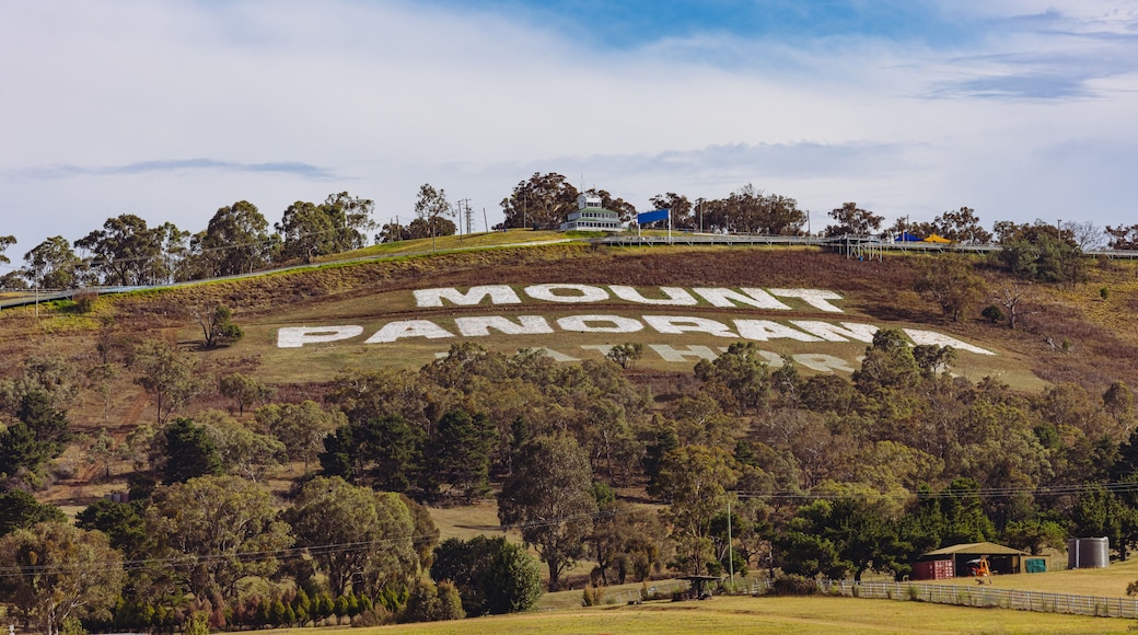 Une colline sur laquelle on a peint les mots « Mount Panorama ».