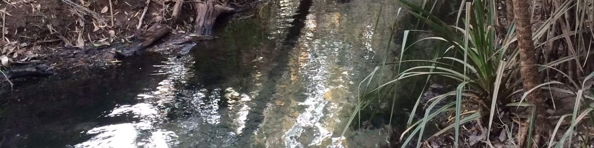 The Katherine Hot Springs aren't mentioned much in the tourist brochures and I don't really know why!
The springs flow into the Katherine River in Katherine, #NorthernTerritory.
They are popular with locals and me too because I love swimming and floating.
#Roadtrip May, 2015.