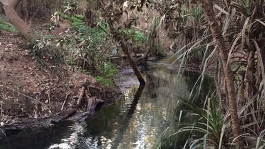 The Katherine Hot Springs aren't mentioned much in the tourist brochures and I don't really know why!
The springs flow into the Katherine River in Katherine, #NorthernTerritory.
They are popular with locals and me too because I love swimming and floating.
#Roadtrip May, 2015.