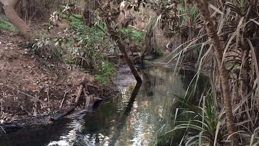 The Katherine Hot Springs aren't mentioned much in the tourist brochures and I don't really know why!
The springs flow into the Katherine River in Katherine, #NorthernTerritory.
They are popular with locals and me too because I love swimming and floating.
#Roadtrip May, 2015.
