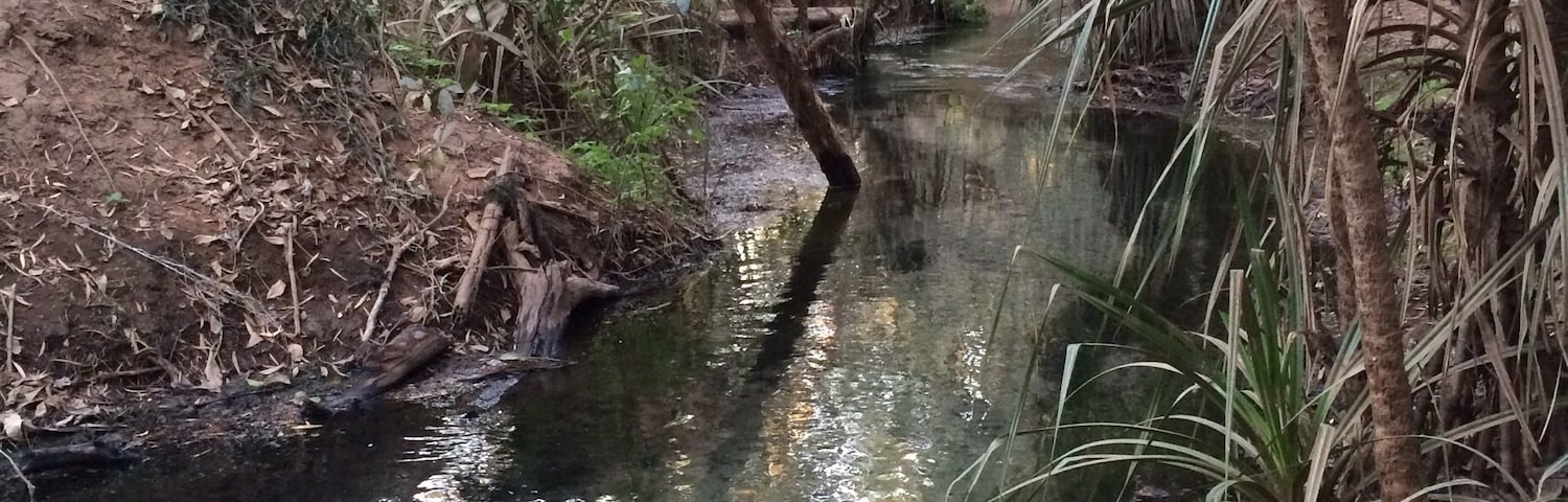 The Katherine Hot Springs aren't mentioned much in the tourist brochures and I don't really know why!  
The springs flow into the Katherine River in Katherine, #NorthernTerritory.  
They are popular with locals and me too because I love swimming and floating. 
#Roadtrip May, 2015.