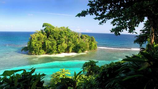 Monkey Island and Pellew Island ‰ۡÌÝÌÕ Port Antonio, Jamaica