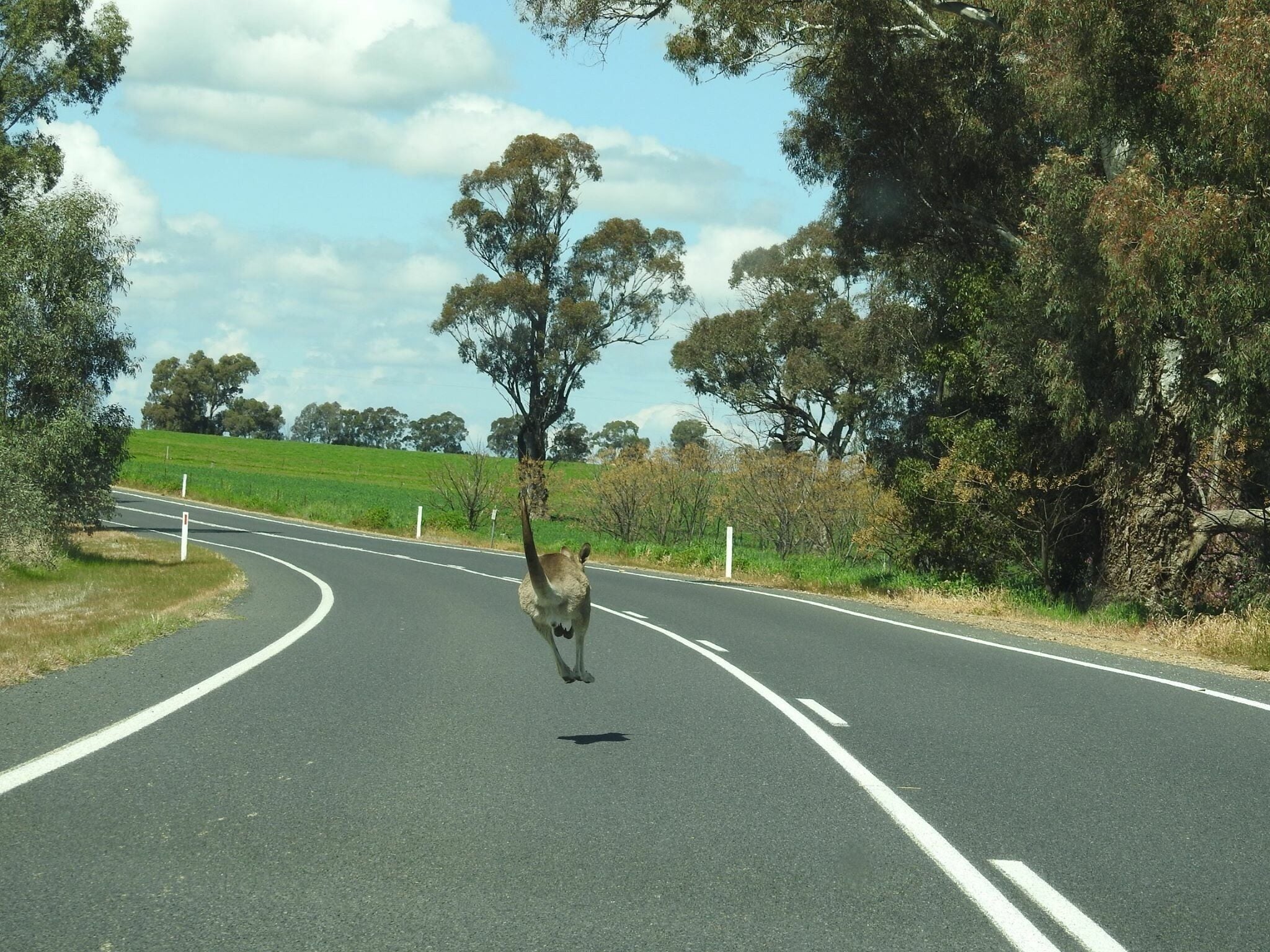 This was taken a few years ago while returning from a friends house out in the country in NSW.