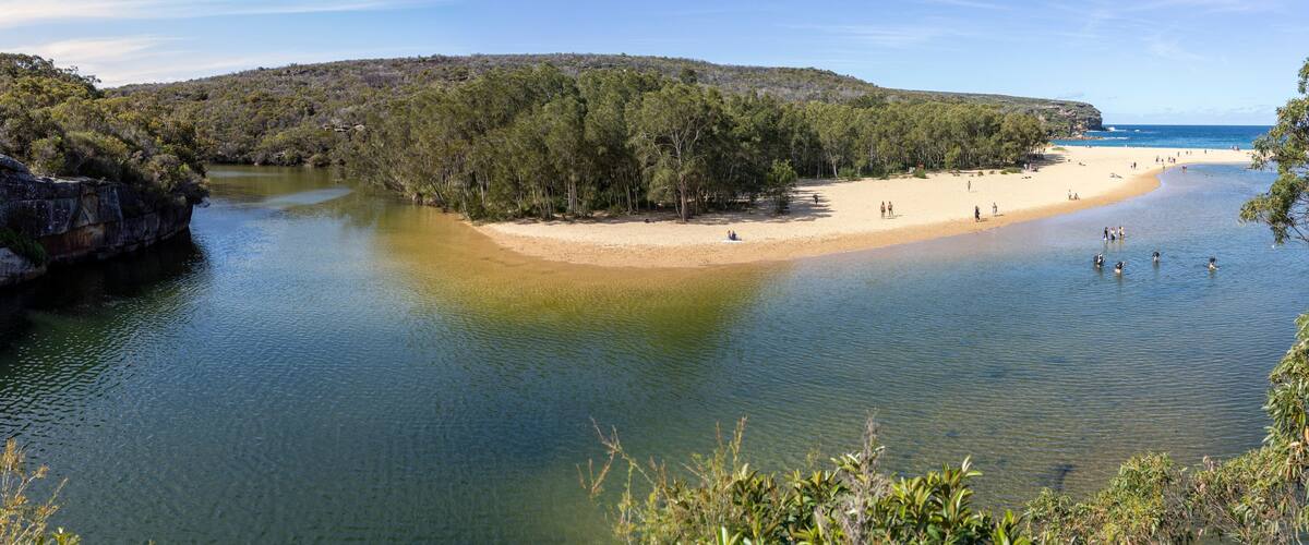 A river leading to a sandy beach surrounded by dense forest and rocky cliffs.