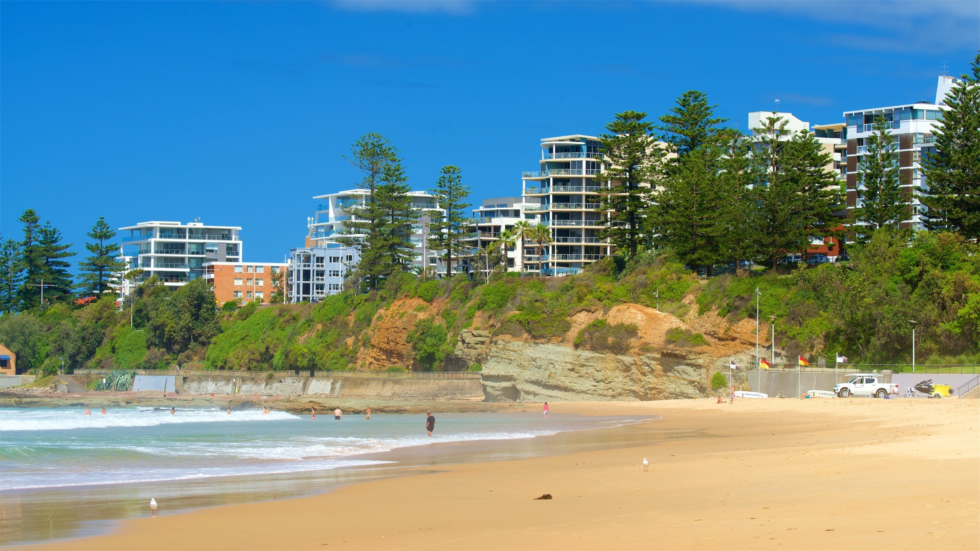 North Wollongong which includes a sandy beach, general coastal views and a coastal town