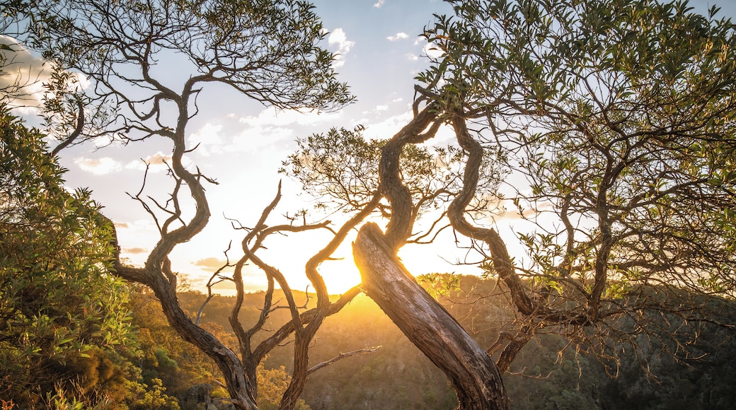Sunset at Bungonia National Park.